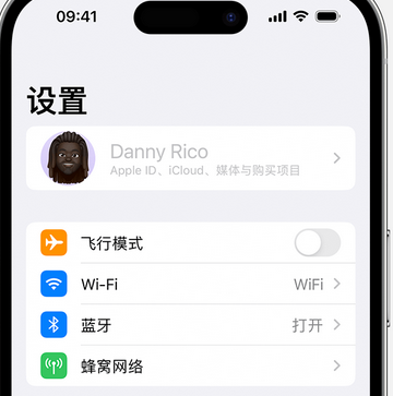 大峪镇appleID维修服务iPhone设置中Apple ID显示为灰色无法使用 