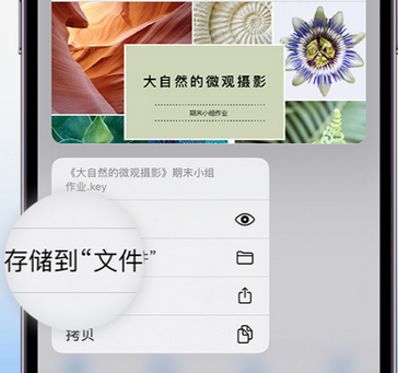 大峪镇apple维修中心分享iPhone文件应用中存储和找到下载文件