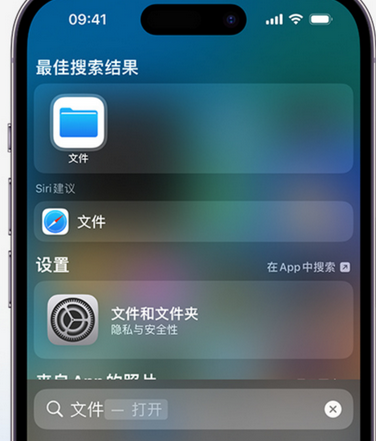 大峪镇apple维修中心分享iPhone文件应用中存储和找到下载文件 