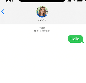 大峪镇apple维修iPhone上无法正常发送iMessage信息