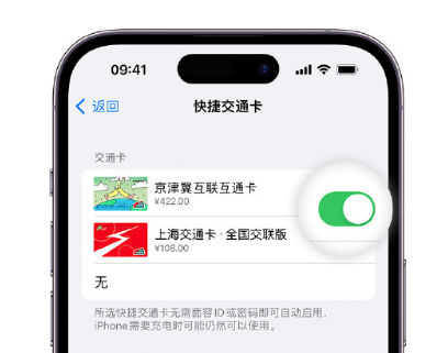 大峪镇apple维修点分享iPhone上更换Apple Pay快捷交通卡手绘卡面 