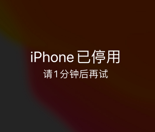 大峪镇苹果手机维修分享:iPhone 显示“不可用”或“已停用”怎么办？还能保留数据吗？ 