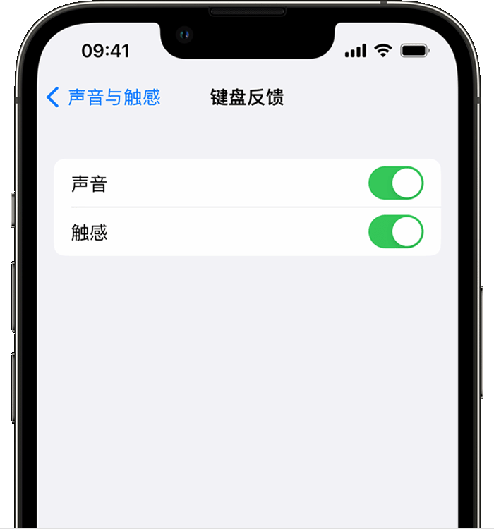 大峪镇苹果14维修店分享如何在 iPhone 14 机型中使用触感键盘 