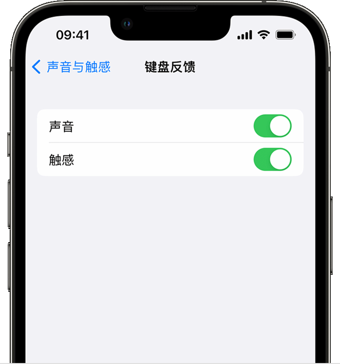 大峪镇苹果14维修分享iPhone 14 系列机型如何开启键盘声音或触感反馈 