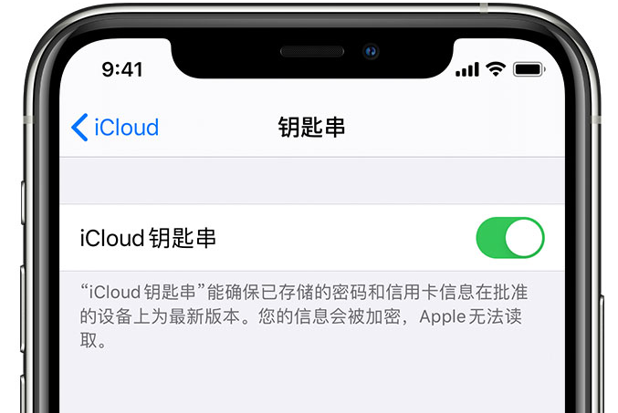 大峪镇苹果手机维修分享在 iPhone 上开启 iCloud 钥匙串之后会储存哪些信息 