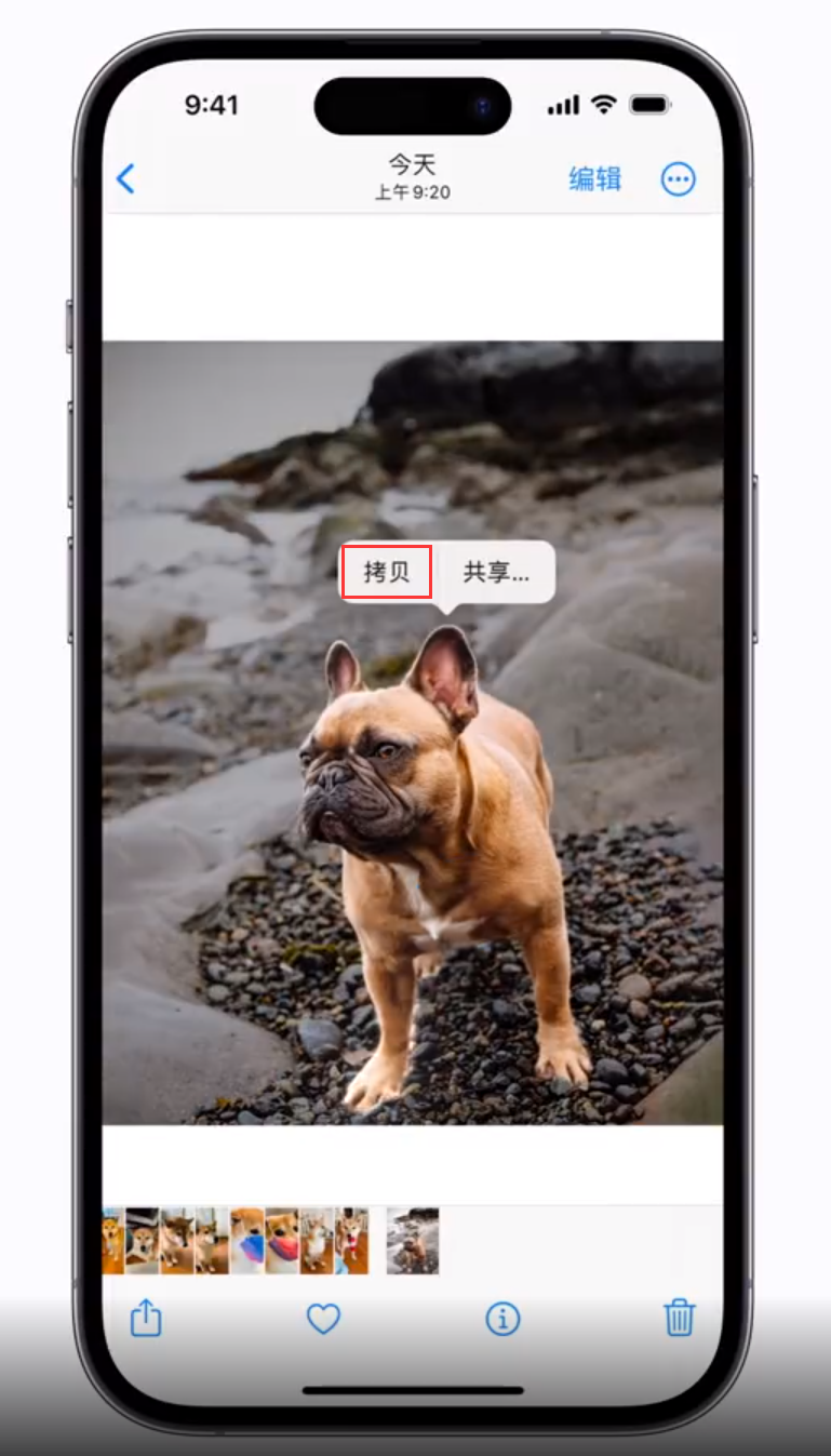 大峪镇苹果手机维修分享 iOS 16 自带一键抠图功能 