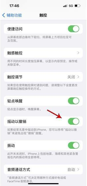 大峪镇苹果手机维修分享iPhone手机如何设置摇一摇删除文字 