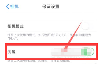 大峪镇苹果13维修分享iPhone13拍照有绿点是怎么回事 