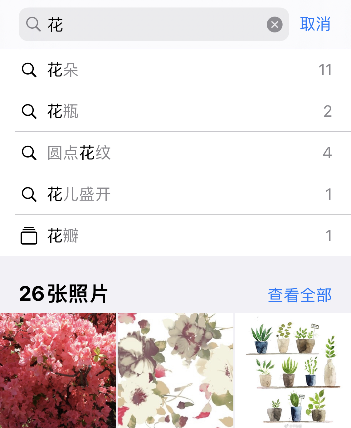大峪镇苹果手机维修分享iPhone 小技巧 